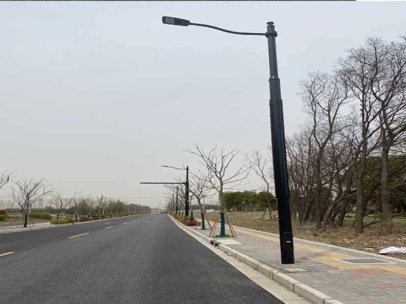 麦积区上海综合杆 太阳能路灯工程